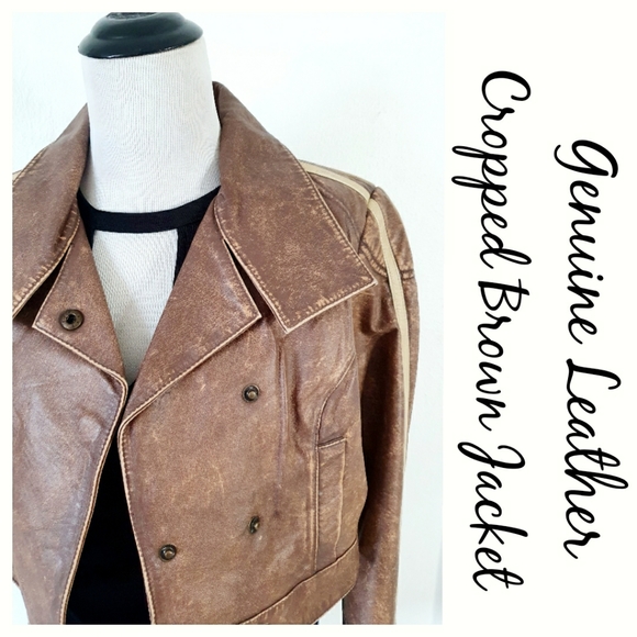 Genuine Leather Brown Cropped Jacket - Picture 7 of 15